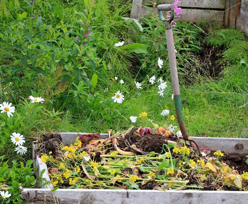 Unlock the Potential of Your Home With Reliable Clutter Removal and Hoarder Clean Up Services